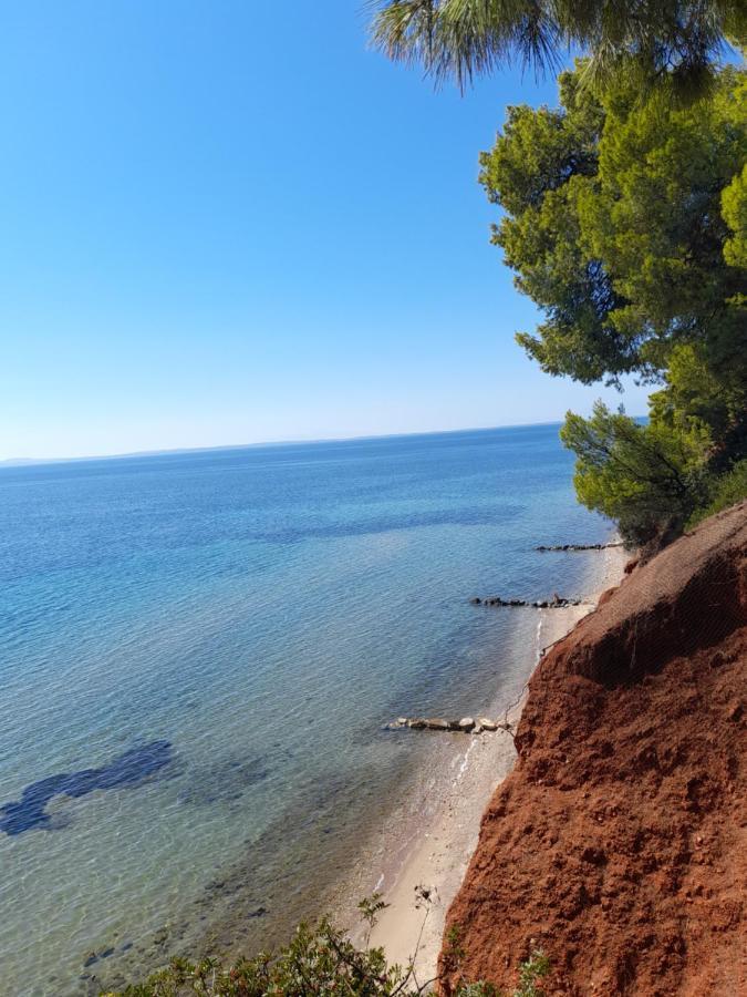 Cortessa Apartments Nikiti  Buitenkant foto